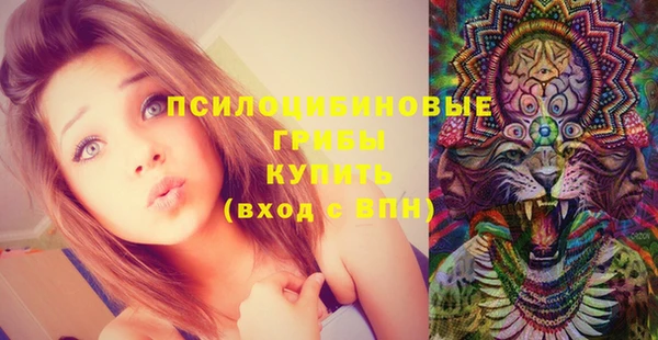 каннабис Каменка