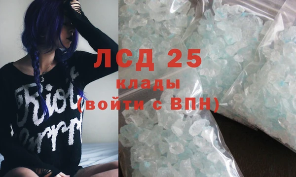 PSILOCYBIN Карпинск