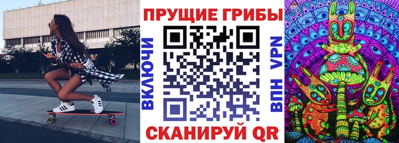 Псилоцибиновые грибы ЛСД  МЕГА ссылка  Евпатория  купить закладку 