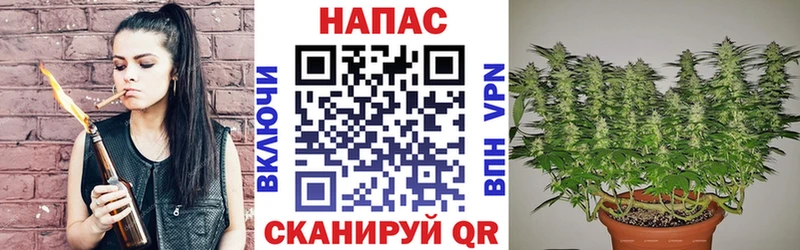 Марихуана марихуана  OMG   Евпатория 